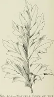 An illustration from Plastering, plain and decorative. A practical treatise on the art & craft of plastering and modelling, including full descriptions of the various tools, materials, processes, and appliances employed ... together with an account of historical plastering in England, Scotland, and Ireland, accompanied by numerous examples (1899)