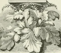 An illustration from Plastering, plain and decorative. A practical treatise on the art & craft of plastering and modelling, including full descriptions of the various tools, materials, processes, and appliances employed ... together with an account of historical plastering in England, Scotland, and Ireland, accompanied by numerous examples (1899)