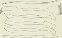 An illustration from Plastering, plain and decorative. A practical treatise on the art & craft of plastering and modelling, including full descriptions of the various tools, materials, processes, and appliances employed ... together with an account of historical plastering in England, Scotland, and Ireland, accompanied by numerous examples (1899)