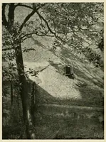 An illustration from Platinum print : journal of personal expression (1913)