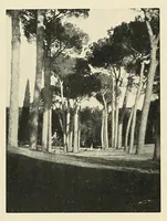 An illustration from Platinum print : journal of personal expression (1913)