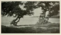 An illustration from Platinum print : journal of personal expression (1913)