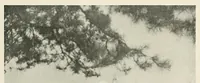 An illustration from Platinum print : journal of personal expression (1913)