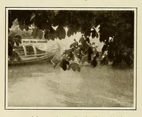 An illustration from Platinum print : journal of personal expression (1913)