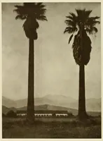 Picture 5 of 16 from Platinum print : journal of personal expression (1913), leaf 4