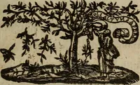 An illustration from Playes, maskes, epigrams, elegies, and epithalamiums : Collected into one volumne [sic]. By Thomas Nabbes (1639)