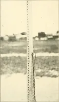 Picture 4 of 13 from Plays and games for schools; (1911), leaf 79