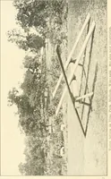 An illustration from Plays and games for schools; (1911)