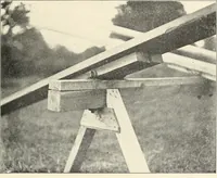 Picture 7 of 13 from Plays and games for schools; (1911), leaf 84