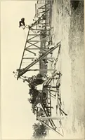 An illustration from Plays and games for schools; (1911)