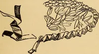 An illustration from The playwork book (1918)