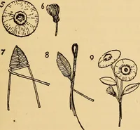 An illustration from The playwork book (1918)