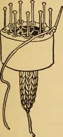 Picture 8 of 64 from The playwork book (1918), leaf 56
