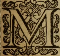 An illustration from A plea for the Commonalty of London : or a vindication of their rights .. (1645)