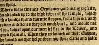 An illustration from The pleasant historie of the conquest of the West India, : now called New Spaine. atchieued by the most woorthie prince Hernando Cortes ... (1596)