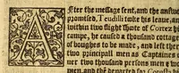 An illustration from The pleasant historie of the conquest of the West India, : now called New Spaine. atchieued by the most woorthie prince Hernando Cortes ... (1596)