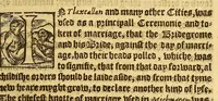 An illustration from The pleasant historie of the conquest of the VVeast India, now called New Spayne, atchieued by the vvorthy prince Hernando Cortes ... (1578)