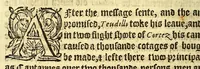 An illustration from The pleasant historie of the conquest of the VVeast India, now called New Spayne, atchieued by the vvorthy prince Hernando Cortes ... (1578)