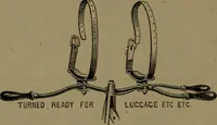 An illustration from The pleasures, objects, and advantages of cycling : with numerous illustrations (1887)