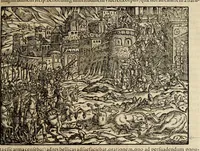 Picture 12 of 26 from Plvtarchi Chaeronensis Svmmi et philosophi et historici parallela : id est, vitae illvstrivm vivorvm Graecorvm et Romanorum (1580), leaf 121
