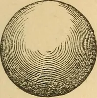 Picture 41 of 213 from Pocket-book of mechanics and engineering (1864), leaf 108