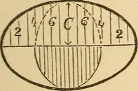 Picture 67 of 213 from Pocket-book of mechanics and engineering (1864), leaf 128