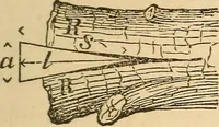 An illustration from Pocket-book of mechanics and engineering (1864)