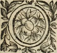 An illustration from Poesies, en Latin et en François (1653)