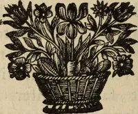 An illustration from Poesies, en Latin et en François (1653)