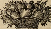 Picture 19 of 19 from Poesies, en Latin et en François (1653), leaf 433