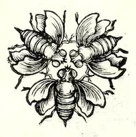 Picture 9 of 14 from Poesie toscane (1637), leaf 113