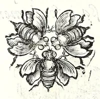 Picture 13 of 14 from Poesie toscane (1637), leaf 122
