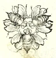Picture 14 of 14 from Poesie toscane (1637), leaf 125