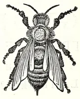 Picture 5 of 14 from Poesie toscane (1637), leaf 98
