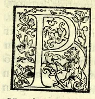 An illustration from Poetica di Iason Denores : nella qual per via di definitione & diuisione si tratta secondo l'opinion d'Artist[otle] della tragedia, del poema heroico, & della comedia (1588)