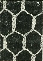 An illustration from Point and pillow lace : a short account of various kinds ancient and modern, and how to recognize them (1899)