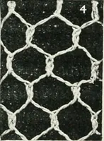 An illustration from Point and pillow lace : a short account of various kinds ancient and modern, and how to recognize them (1899)