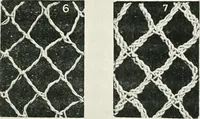 An illustration from Point and pillow lace : a short account of various kinds ancient and modern, and how to recognize them (1899)
