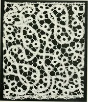 Picture 25 of 56 from Point and pillow lace : a short account of various kinds ancient and modern, and how to recognize them (1899), leaf 100