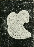 Picture 2 of 56 from Point and pillow lace : a short account of various kinds ancient and modern, and how to recognize them (1899), leaf 24
