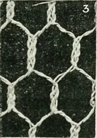 An illustration from Point and pillow lace : a short account of various kinds ancient and modern, and how to recognize them (1899)