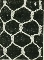 Picture 5 of 56 from Point and pillow lace : a short account of various kinds ancient and modern, and how to recognize them (1899), leaf 28
