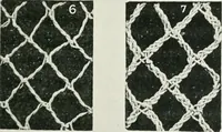 Picture 6 of 56 from Point and pillow lace : a short account of various kinds ancient and modern, and how to recognize them (1899), leaf 28