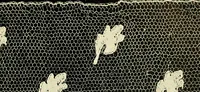 Picture 45 of 66 from Point and pillow lace; a short account of various kinds, ancient and modern, and how to recognise them (1905), leaf 150
