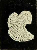 Picture 2 of 66 from Point and pillow lace; a short account of various kinds, ancient and modern, and how to recognise them (1905), leaf 26