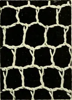 Picture 3 of 66 from Point and pillow lace; a short account of various kinds, ancient and modern, and how to recognise them (1905), leaf 26