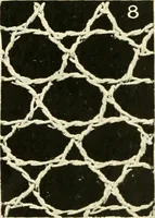 Picture 8 of 66 from Point and pillow lace; a short account of various kinds, ancient and modern, and how to recognise them (1905), leaf 30