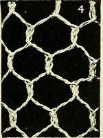 Picture 10 of 66 from Point and pillow lace; a short account of various kinds, ancient and modern, and how to recognise them (1905), leaf 30