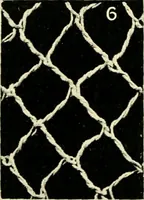 Picture 12 of 66 from Point and pillow lace; a short account of various kinds, ancient and modern, and how to recognise them (1905), leaf 30