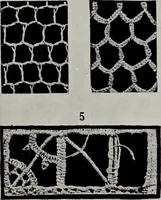 An illustration from Point and pillow lace; a short account of various kinds, ancient and modern, and how to recognise them (1905)